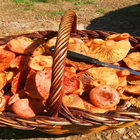 Vakantiehuis Masias De